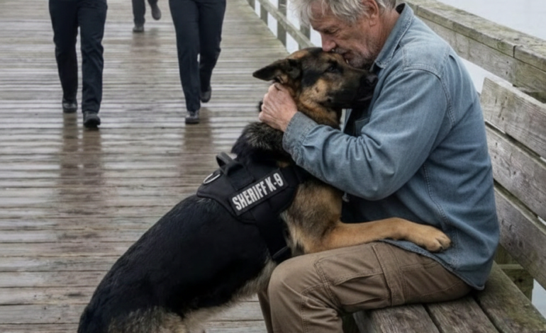 Die Polizei befahl einem K9, einen älteren Veteranen anzugreifen – aber die Reaktion des Hundes verblüffte alle und veränderte alles.