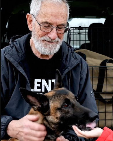 Man Fighting For Life After Risking It All To Save Dog From Killer Bees